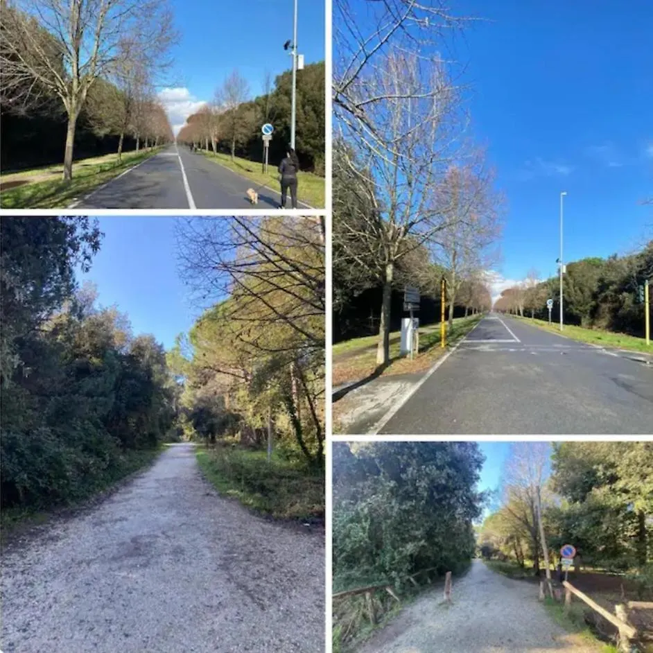 Appartamento Pineta Viareggio
